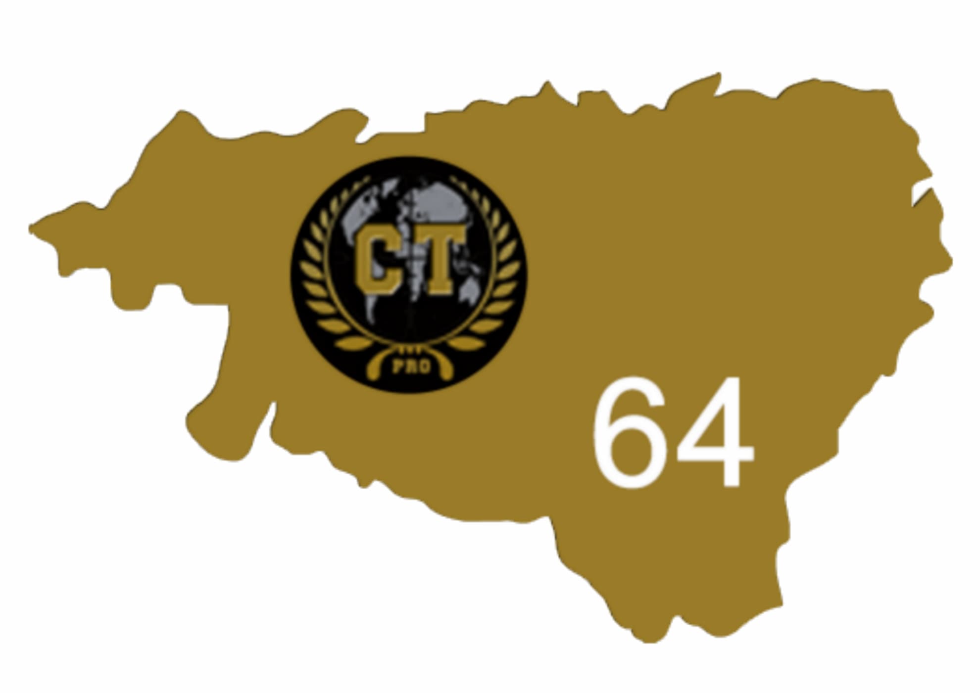 ct_pro